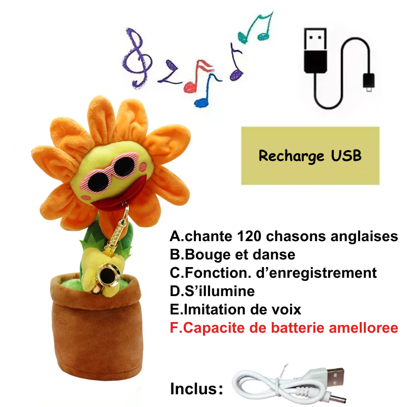 Sunflower Cactus Toy